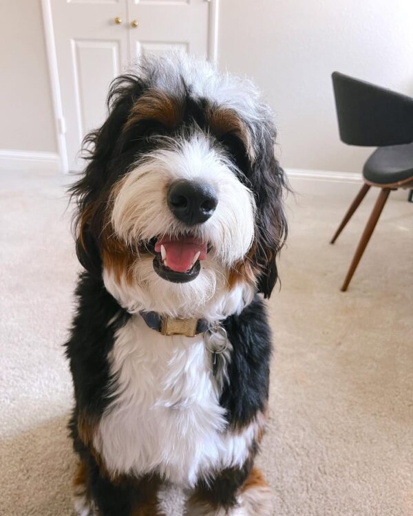 Dudley